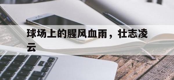 爱游戏在线-关于球场上的腥风血雨，壮志凌云的信息
