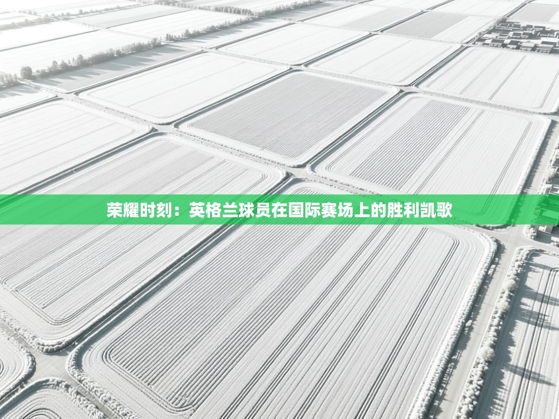 荣耀时刻：英格兰球员在国际赛场上的胜利凯歌  第2张